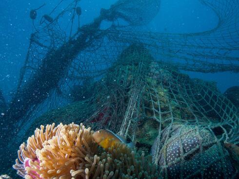 Fish nets