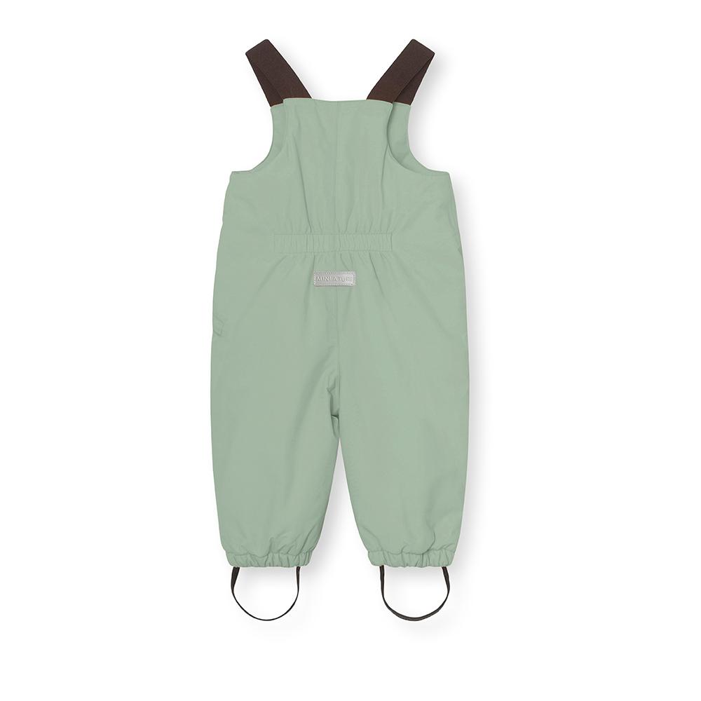 Iceberg Green back