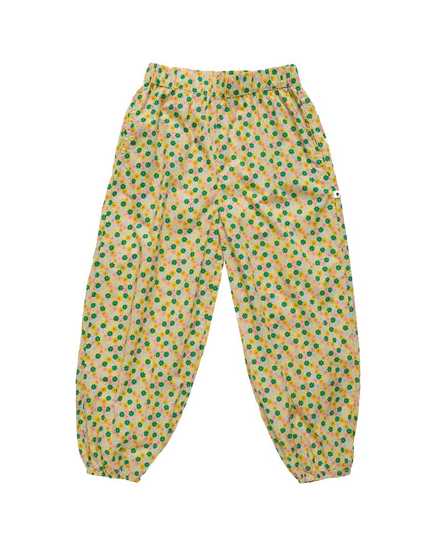 Tropical Tamarin pants front